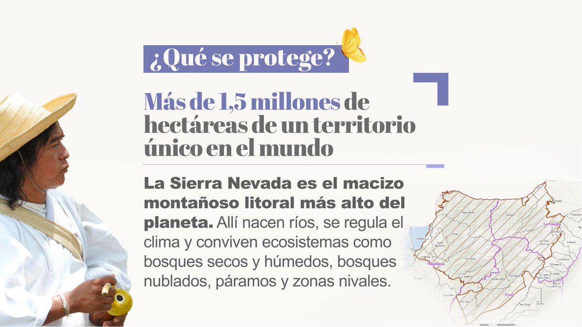 MinAmbienteCo's tweet photo. ¡La Sierra Nevada de Santa Marta, el Corazón del Mundo, queda protegida de forma permanente!

Con esta decisión, el Gobierno del presidente @PetroGustavo cuida más de 1,5 millones de hectáreas clave para el agua, la biodiversidad y la vida del Caribe colombiano.

La reserva:
👉🏼  Fue construida junto a los pueblos Arhuaco, Kogui, Wiwa y Kankuamo.
👉🏼 Reconoce el valor ecológico, hídrico, biocultural y ancestral de la Sierra.
👉🏼 Permite actividades sociales, productivas y comunitarias propias del territorio.
👉🏼 Cierra la puerta a nuevas actividades de minería e hidrocarburos.

#ConDignidadCumplimos al Corazón del Mundo.