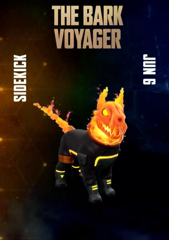 Layla_Leaks's tweet photo. 7. Juni - The Bark Voyager! https://t.co/8M3tawiIj2