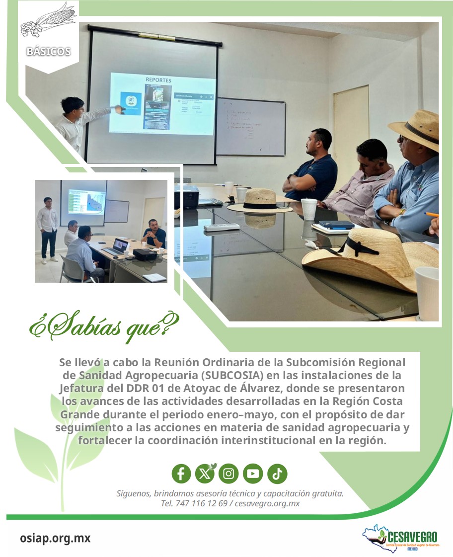 cesavegro's tweet photo. La Subcomisión Regional de Sanidad Agropecuaria (SUBCOSIA) es un espacio de coordinación donde instituciones y organismos del sector agropecuario dan seguimiento a las acciones de sanidad vegetal, animal e inocuidad agroalimentaria.
#cesavegro #agricultura #sanidadvegetal #gro https://t.co/q5JgeNfSsx