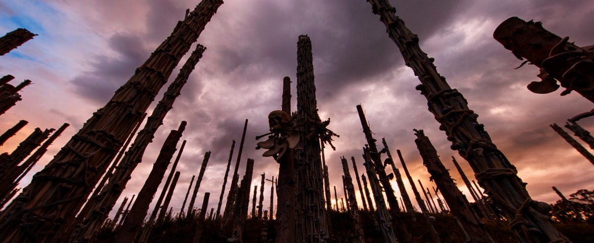 makrambles's tweet photo. Big fan of 28 Years Later : The Bone Temple. Nia DaCosta succeeds in making a movie that feels distinctly different from the two Danny Boyle entries and yet keeps the spirit of the franchise. It's violent, gentle, cruel and contemplative all at once. https://t.co/KqEhKd34Sb