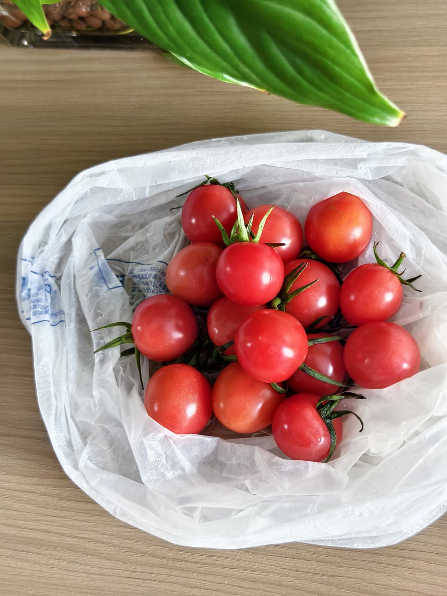 iremtns1's tweet photo. Fresh local cherry tomatoes u0026 organic basil restocked at our shop! Perfect for summer salads u0026 pasta tonight https://t.co/mugPbPqWoj