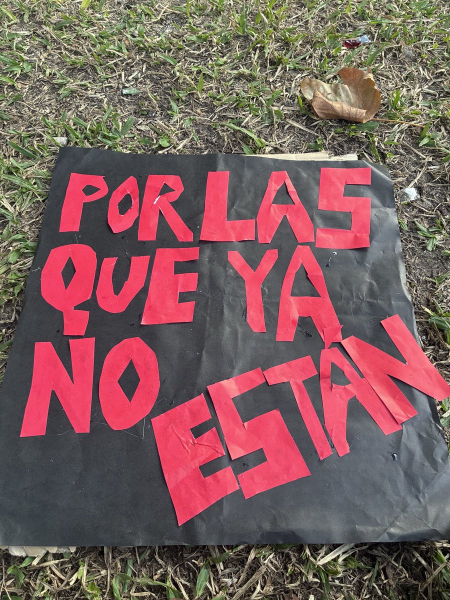 plusvelledemanz's tweet photo. Ni una menos como hace 11 años dije PRESENTE junto a mis hermanas mis amigas https://t.co/lB8op4ONRd