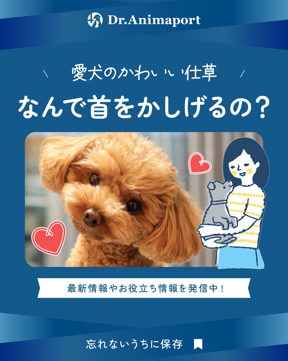 PLANLABofficial's tweet photo. 犬が首をかしげるのは「もっと聞きたい！」「よく見たい！」という気持ちの表れかもしれません🐶✨
ただし首が傾いたまま戻らない場合は病気の可能性も😵
いつもとの違いはチェックしてあげましょう🫶

#DrAnimaport
#ドクターアニマポート https://t.co/yesUN39zI1