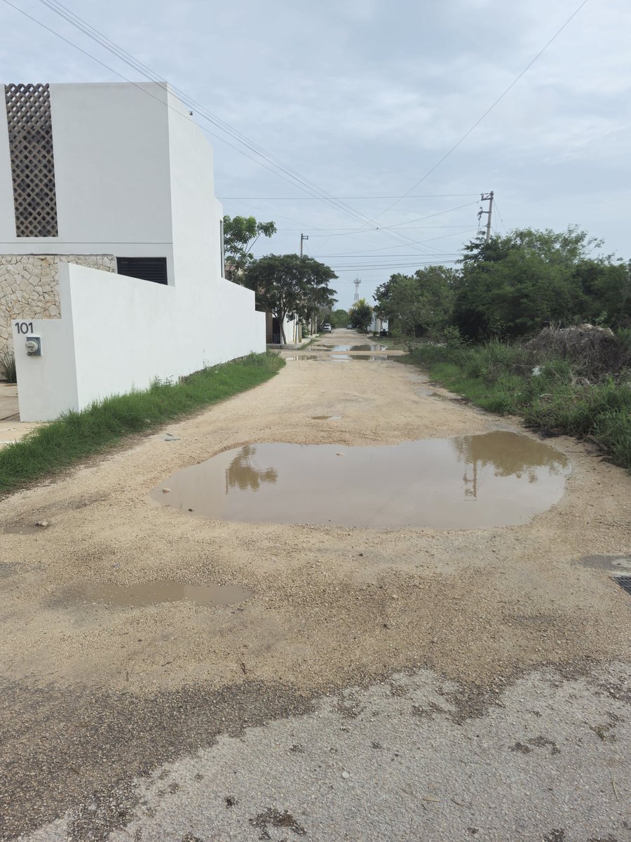 Dano_SR's tweet photo. @CeciliaPatronL Despues de las lluvias https://t.co/BQFXRUSAlC