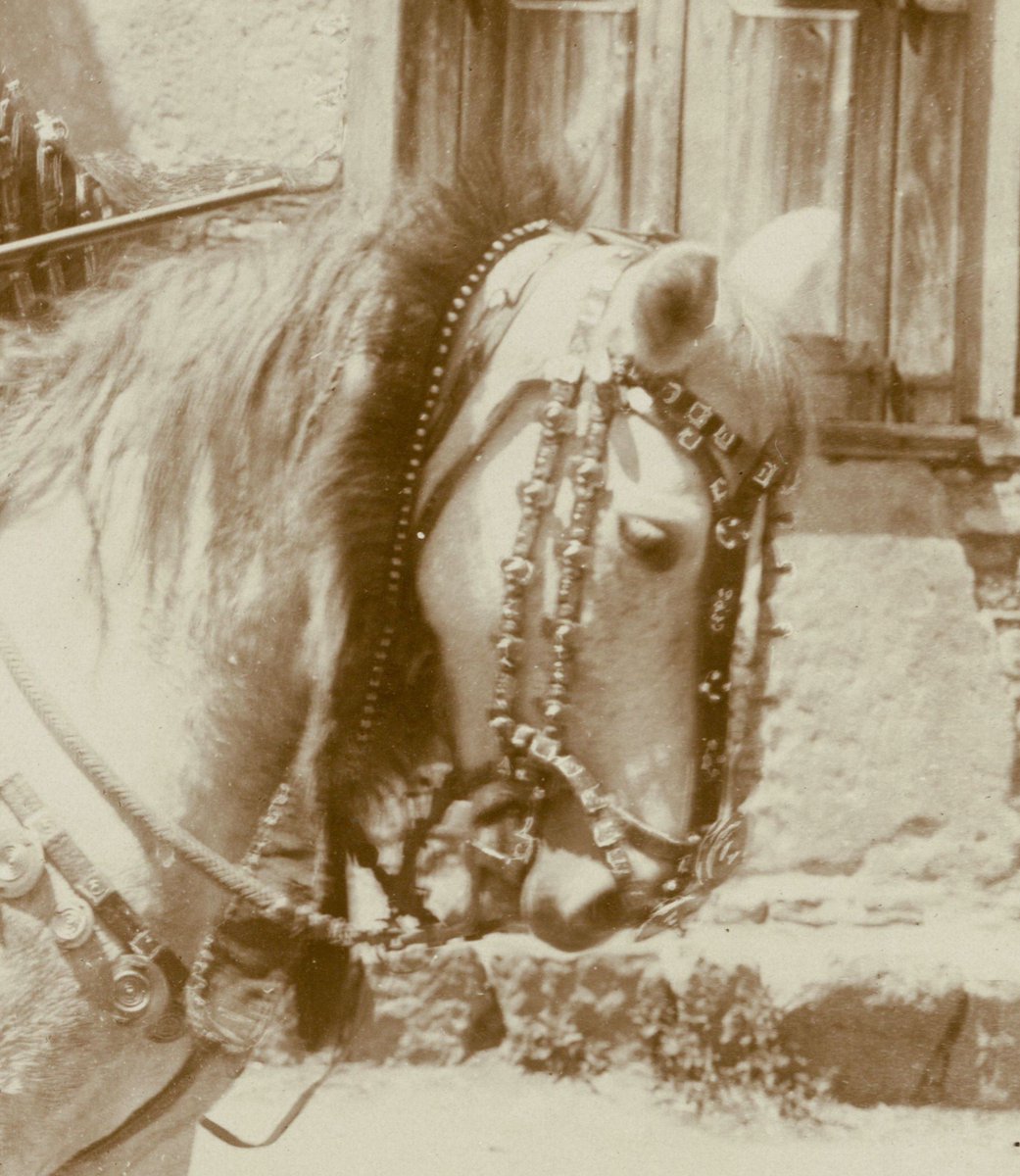 rasDemi's tweet photo. Ras Mengesha Yohannes, 1894 https://t.co/jyKUC3YOxW