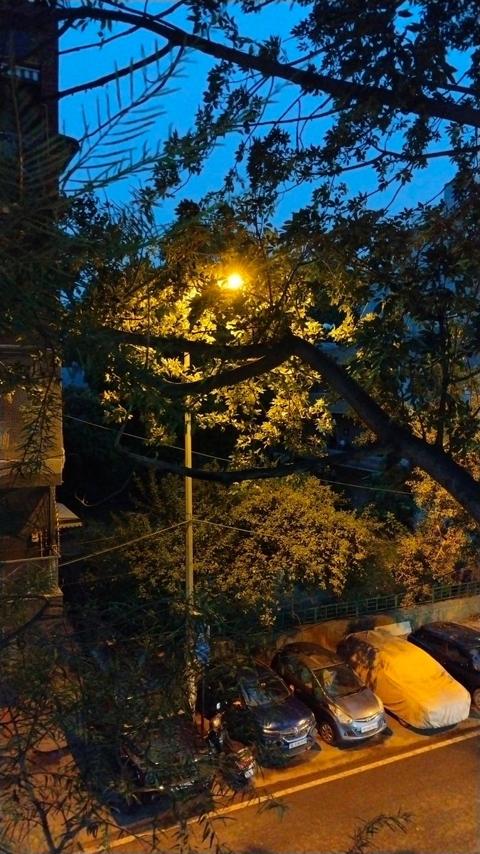 justabauni's tweet photo. something between day and night 
.
#twilight https://t.co/dl3yXtxPI4