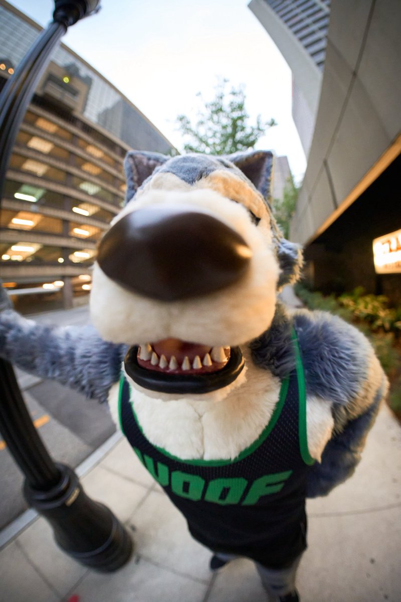 differmitt's tweet photo. @prawnzo_ @scramblefox sniffsniffsniffsniffsniffsniff https://t.co/VEb8K7vNhr