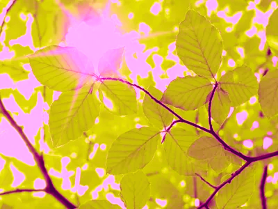coolguybigtime's tweet photo. testing coolguypicturetime "coolGPT" neural network image generation model https://t.co/IoujzNz3Fn