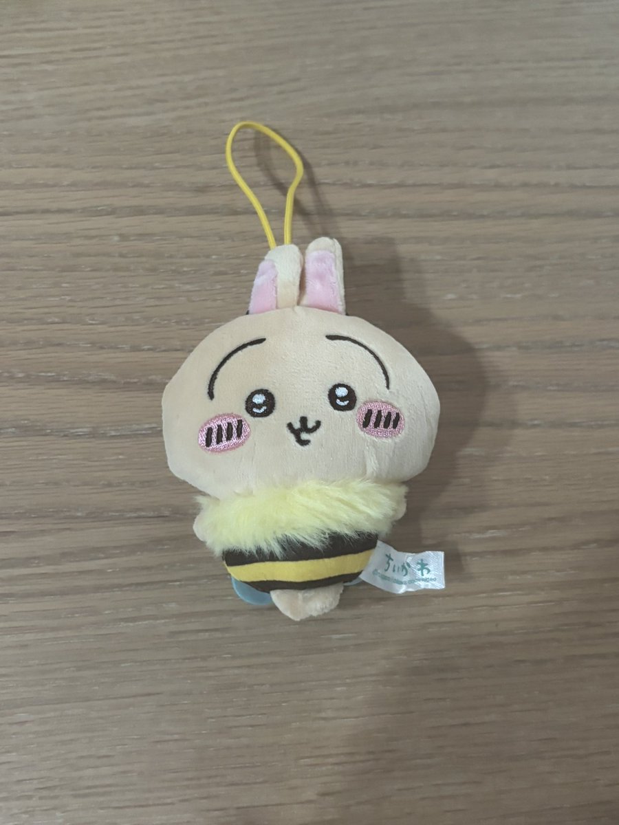 04tr__1007's tweet photo. 交換 ちいかわ ハチさん ぬいぐるみ
マスコット セブンイレブン

【譲】うさぎ

【求】ちいかわ

郵送での交換希望です📮
お気軽にお声掛けください🌼*･
よろしくお願いいたします。 https://t.co/MChTIboxfV