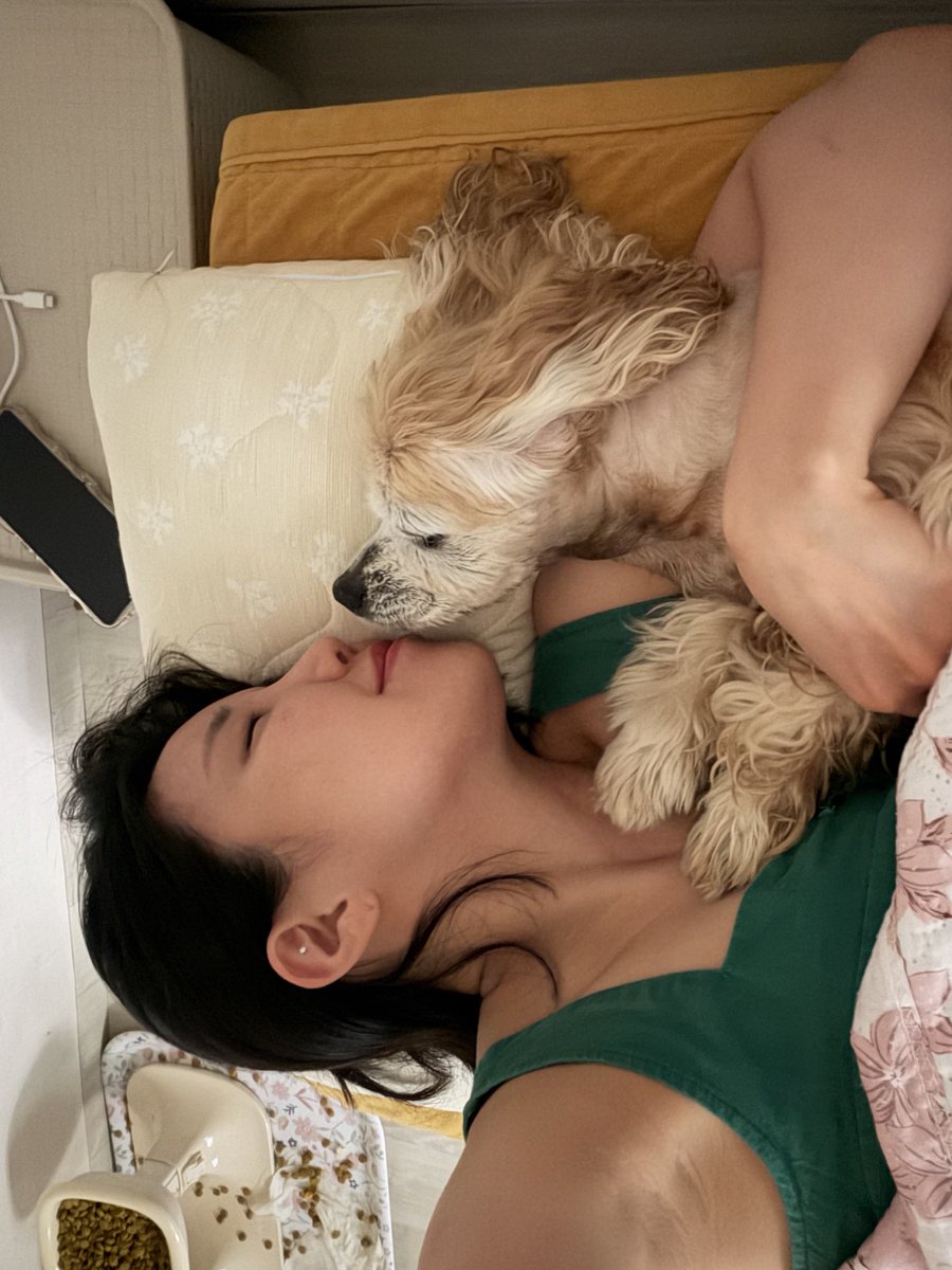 민희수 tweet media