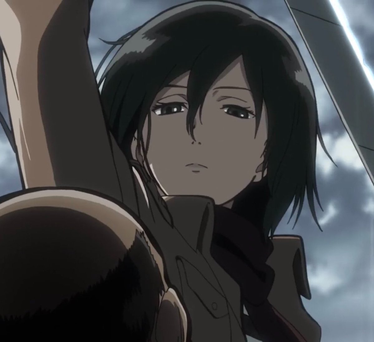mikasababymama_'s tweet photo. i forget that Mikasa didn't always have the scar under her eye it feels like such an integral part of her design omg https://t.co/xrNqkZh4lR