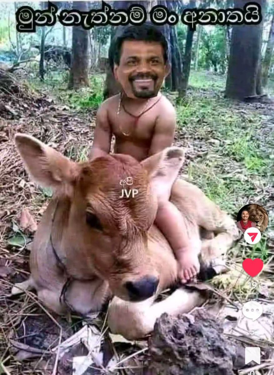 slrevolt's tweet photo. @NewsWireLK He's talking to their herd of cows 😂😂 https://t.co/x71c8ssUWd