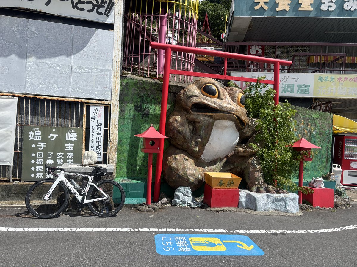 KMP_jp's tweet photo. ガマランドへようこそ https://t.co/HPzKcweTAC
