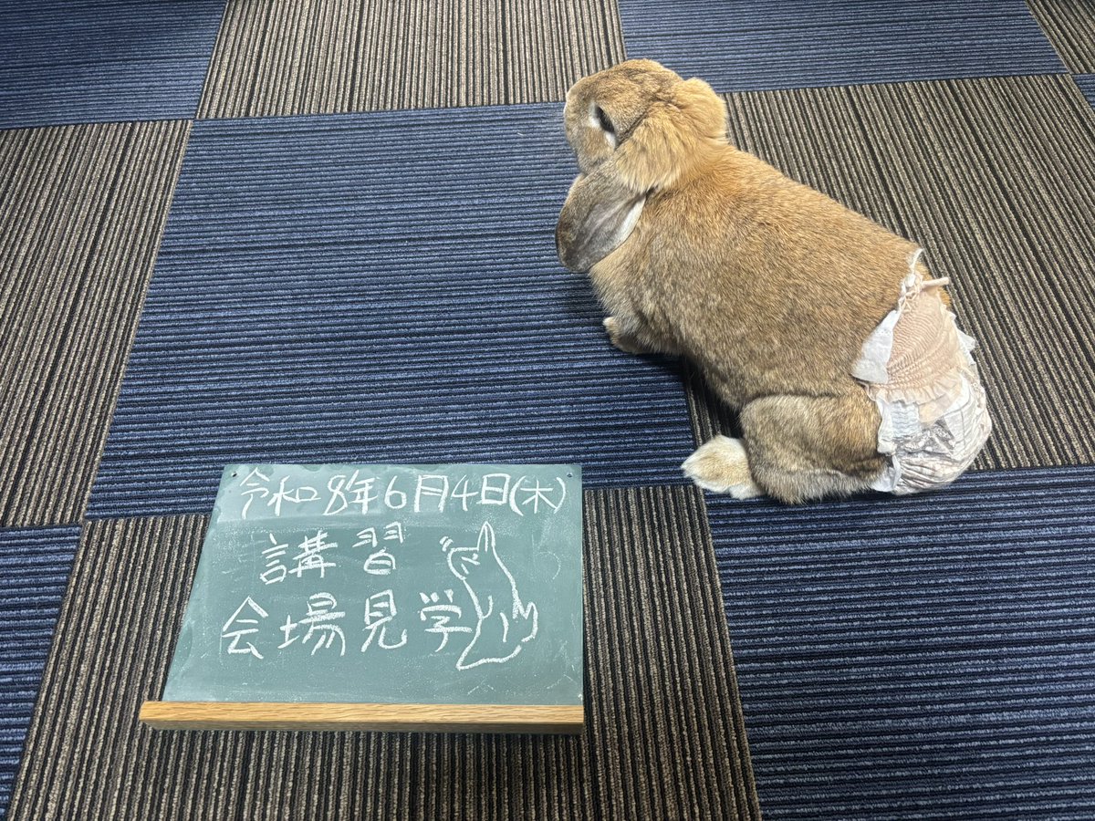 CJB2024's tweet photo. 今日の黒板🐰
外回り中心な1日です( 'ω')
 #黒板
 #うさぎ https://t.co/k8nHL4ULW8