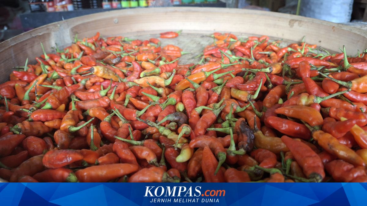 kompascom's tweet photo. Rupiah Anjlok, Harga Beras di Lumajang Turun, Cabai Naik Tembus Rp90.000 https://t.co/OABm73MnhX https://t.co/JCmEqkodTj