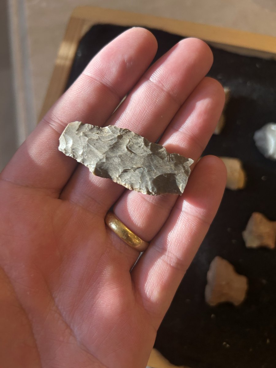 EdPassanoHill's tweet photo. Another nice arrowhead fragment today after the rain. https://t.co/Lhn7r7eZqX