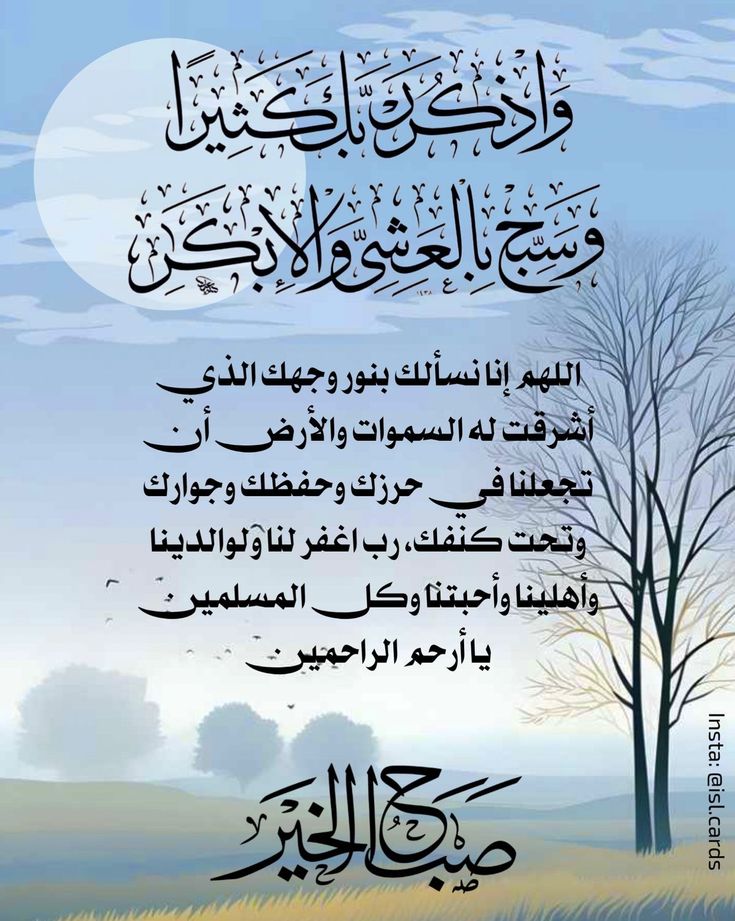 شموخ لبنانية🇱🇧 tweet media