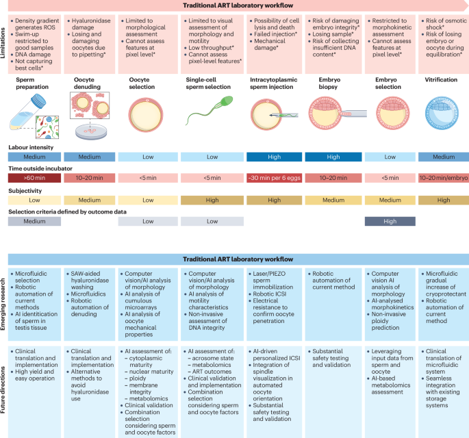 natrevbioeng's tweet photo. AI and automation in assisted reproduction https://t.co/4fD07RzEzz https://t.co/QvPtsZ7sju