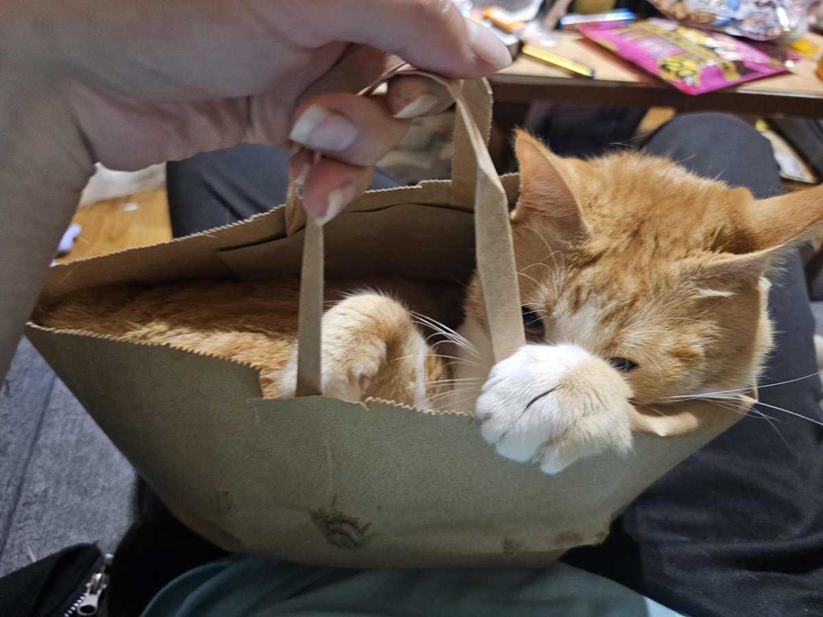 igbtbreaker's tweet photo. にゃんこのお届け物で〜す😽 https://t.co/TFjlpgO4EK