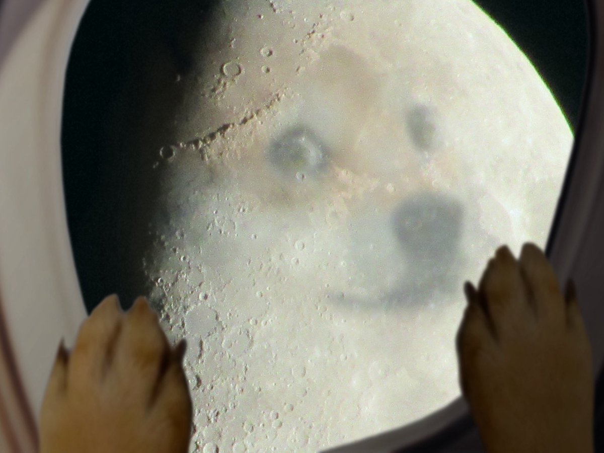 AlphaDoge's tweet photo. @teslaownersSV 🌔 https://t.co/6OxouPg0lV