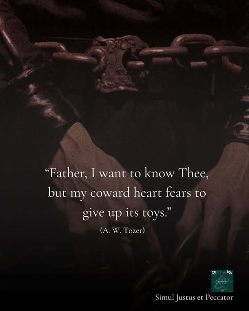 bondageofwill's tweet photo. “Father, I want to know Thee, but my coward heart fears to give up its toys.” —A. W. Tozer https://t.co/ImUS463ft2