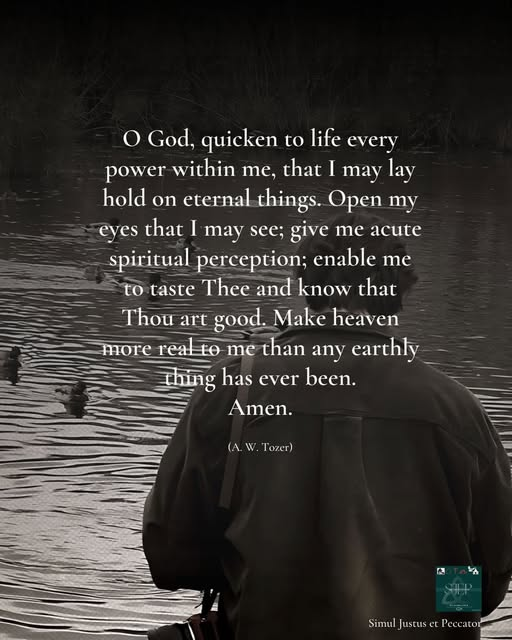 bondageofwill's tweet photo. O God, quicken to life every power within me, that I may lay hold on eternal things. Open my eyes that I may see; give me acute spiritual perception; enable me to taste Thee and know that Thou art good. Make heaven more real to me than any earthly thing has ever been. Amen. https://t.co/oRwt2hSNj7