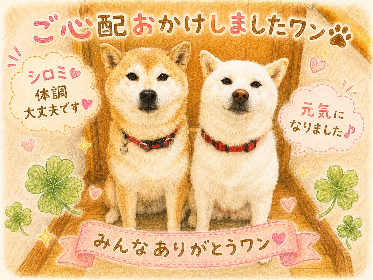 mozyaking's tweet photo. @MikaBeGood おはよーございます🐕
ありがとうございます✨
今回買ったブラシは凄い❕️高いだけはありました✨今までタブルコートの柴犬のブラッシングは大変で、いろんなブラッシンググッズを試しましたが今回のＮｏ．1です✨ブラッシングが嫌いなコマも嫌がらずきちんと取れます👍これでこの夏は安心です✨ https://t.co/qv2LXEpJBF