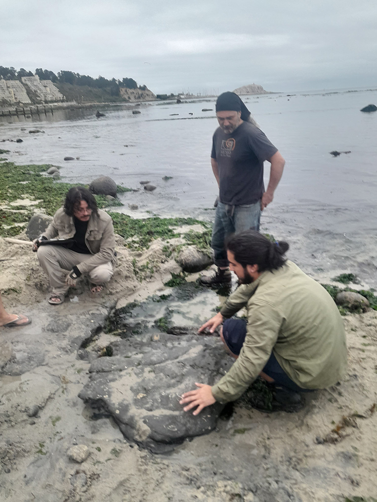 uchile's tweet photo. Hallazgos de fósiles: Paleontólogos U. de Chile confirman presencia de dinosaurios terrestres y aves del Cretácico en Algarrobo https://t.co/8THnNE9ZRm https://t.co/LYIN0cVHVQ