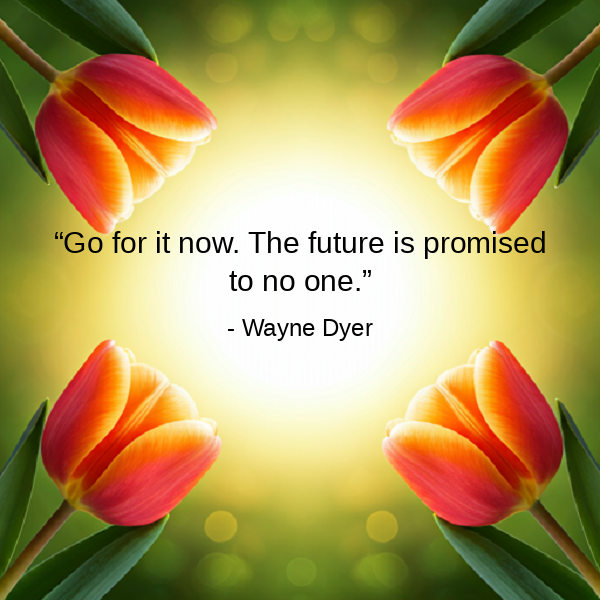 DailyQuotes254 tweet picture