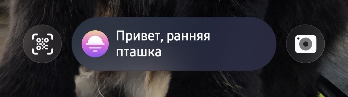 dimap's tweet photo. Наивный самсунг думает, что я уже проснулся https://t.co/UTkWUdw33w