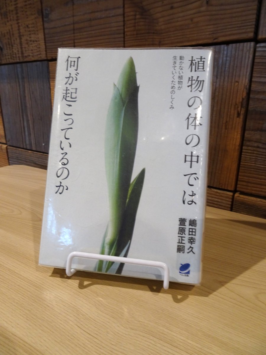 lib_sup's tweet photo. 【図書紹介📚】
📗植物の体の中では何が起こっているのか
📗うごくものと書いて「動物」、一方で自らはうごかない「植物」
なぜ植物は動かない選択をとったのか？なぜ動かなくても生きていけるのか？
本書ではうごかない植物の「能動的な生き方」について知れる一冊になっています https://t.co/4qu9cM1q81