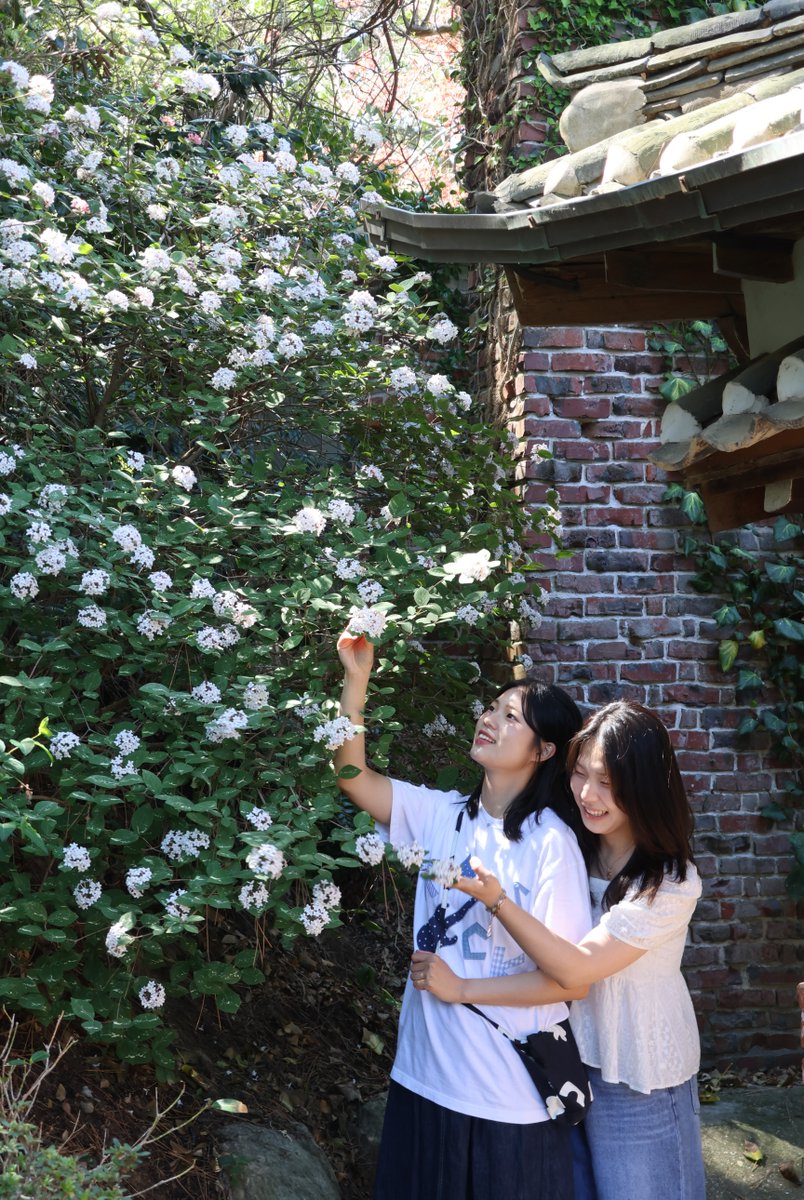 chollipoarb's tweet photo. 수목원을 내 집 앞마당처럼 누릴 수 있는 특별한 시간🌿
이번 여름 휴가는 천리포수목원에서

천리포수목원 가든스테이 예약👇