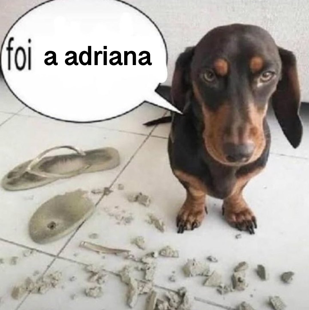 falsabrilhante's tweet photo. resumo dos capítulos de #quemamacuida https://t.co/B2lIUOFywm