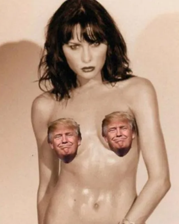 petsbysimon's tweet photo. @lacho_ai_ Weird looking tits. https://t.co/2OWBax734M