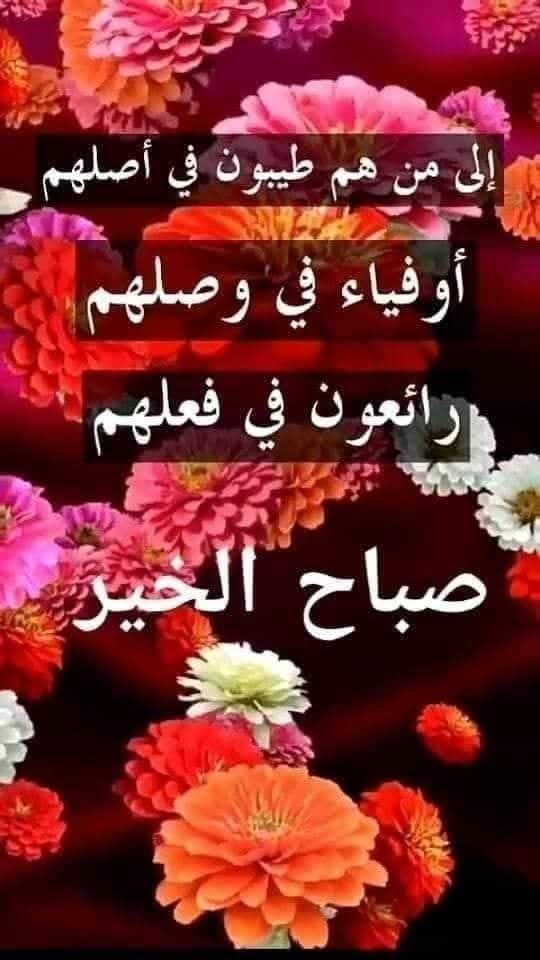 تامر أبو الوفا🇦🇹🇦🇹🏳🇦🇹🏹🇪🇬 tweet media