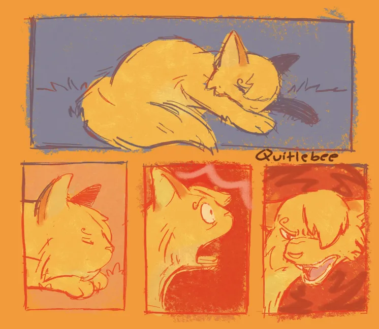 Quitlebee's tweet photo. bullseyeduo 
orphaned cats tend to find comfort in kneading https://t.co/MFvqTi3ahc