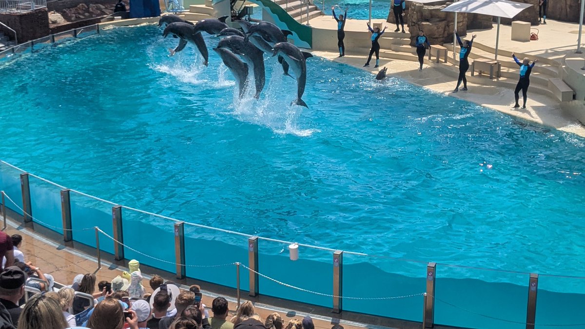 AnimeSavior's tweet photo. Celebrating my birthday out in Sea World San Diego. https://t.co/ktd3qXZyuX
