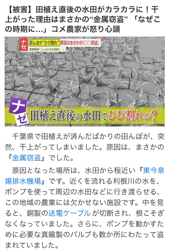 日本人はもう少し怒れ tweet media