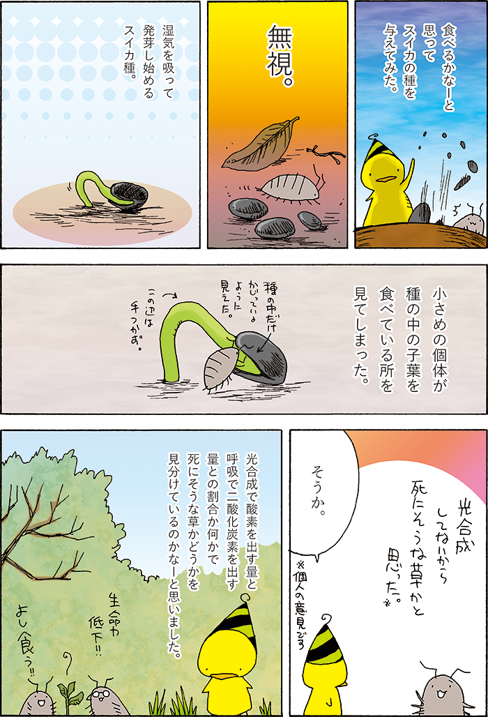 hiyokoblack's tweet photo. 虫の日ですね！！！！！！！！！！！！！ https://t.co/gtgiHOb0sC