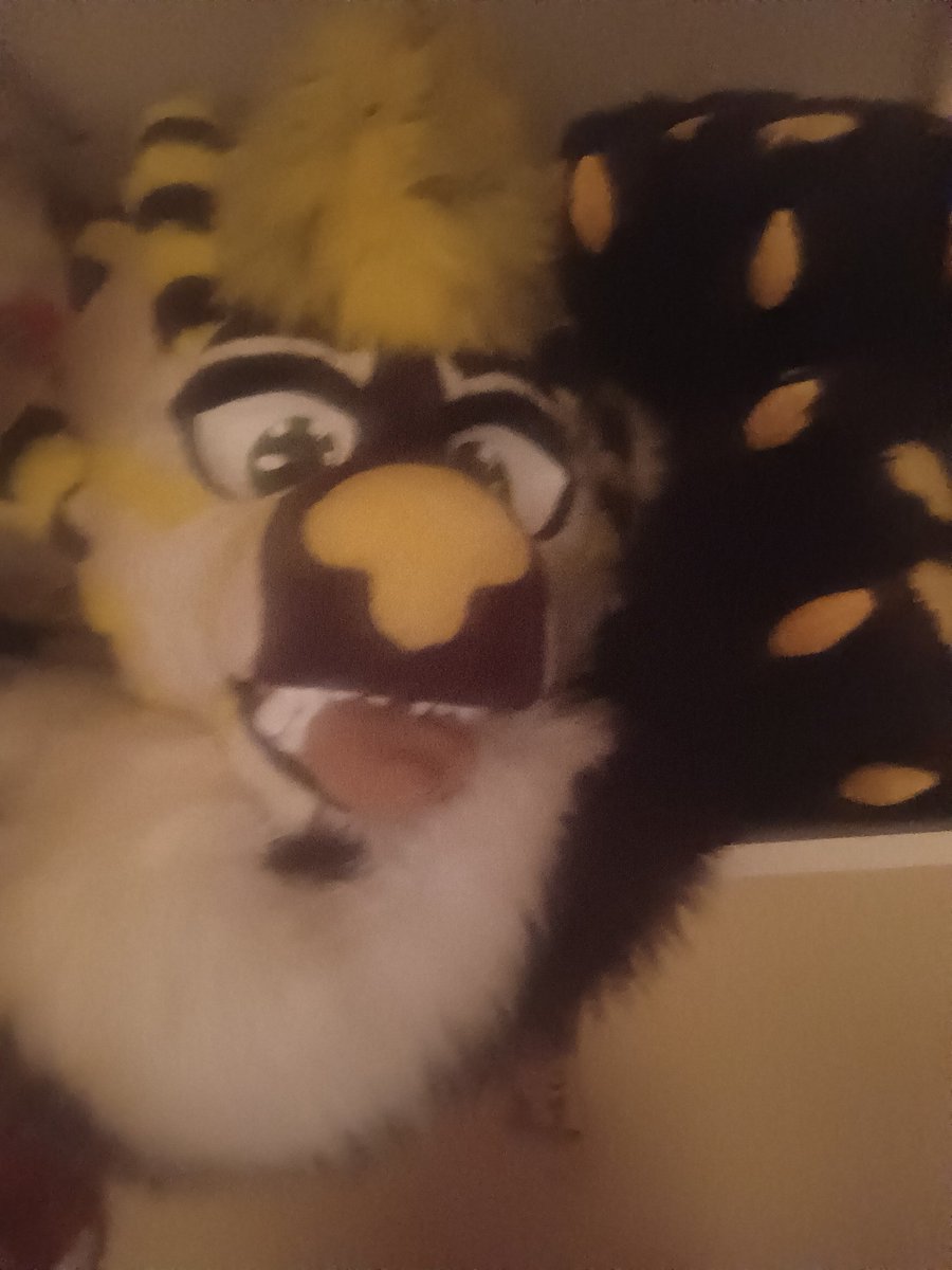 ThunderStorm249's tweet photo. In current times especially with my mental stability I have thought about selling my boy and leaving the furry fandom.With no intention of returning. 
But then I look at him and remember the amazing times I've had with him and others, and I know that I wouldn't be myself if I did https://t.co/dLtfOleA9f