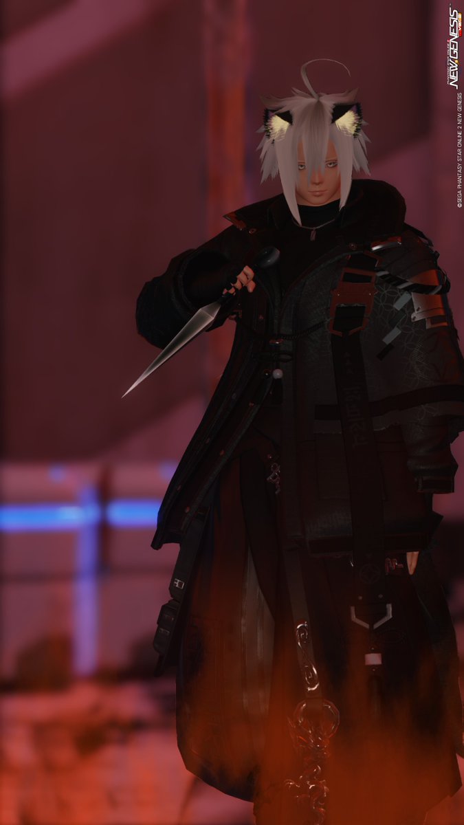 silve_pso2ngs's tweet photo. https://t.co/EblioCDMz8