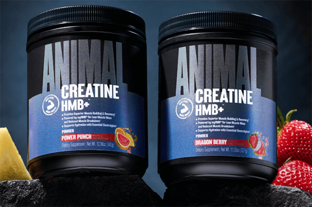 Hunt4Freebies's tweet photo. Apply for the FREE Animal Creatine HMB+ Powder sample program!
🔗👇​
https://t.co/l2Dl9IVvkY https://t.co/3LgTZcLJ4v