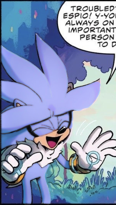Blilver The Hedgehog (Arby's) tweet media