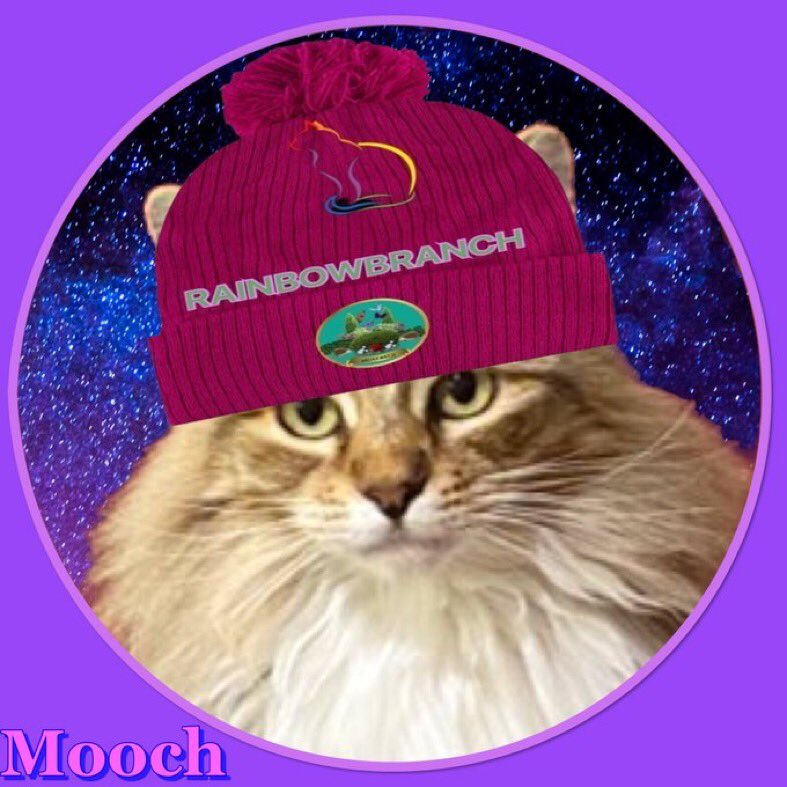 mel_asks's tweet photo. @Hedgewatchers @TayTayFan500 So lovely to meet you, Jasper! We are Earl, Jules and Angel🌈Mooch in California. So happy you are still Hedgewatching!
😻❤️😻 https://t.co/JoAZdkBCbZ