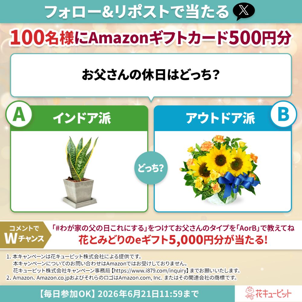 i8791's tweet photo. ＼父の日🌻お父さんはどっち？AorB／
リプライで花とみどりのeギフト5000円分が当たる！

🎁フォロー＆リポストで当たる！
Amazonギフトカード500円分

1⃣ @i8791 をフォロー
2⃣ 6/15 11:59 迄に本投稿をリポスト
📩 当選者に即DM
3⃣ リプライでWチャンスに参加👇 https://t.co/MsXzz1cWsN