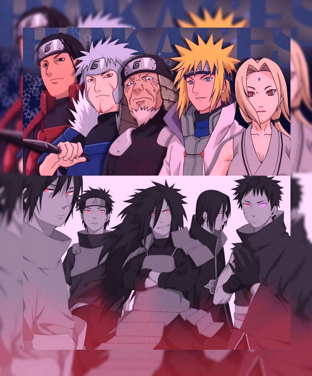 Animetra tweet media