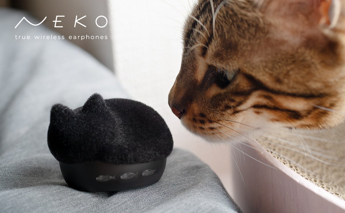 radius_JP's tweet photo. ／
 あの #猫イヤホン が
特別なふわふわ仕様になって登場！☁️
＼

大人気の猫イヤホン に、ラディウス30周年を記念した特別モデル「ふわふわフロッキーver.」が仲間入り！
ずーっと撫でたくなっちゃうふわふわボディですฅ^•ω•^ฅ

「まっくろ」と「まっしろ」、どっち���お迎えしたいですか？🐈‍⬛🤍 https://t.co/ohanXbLDI1