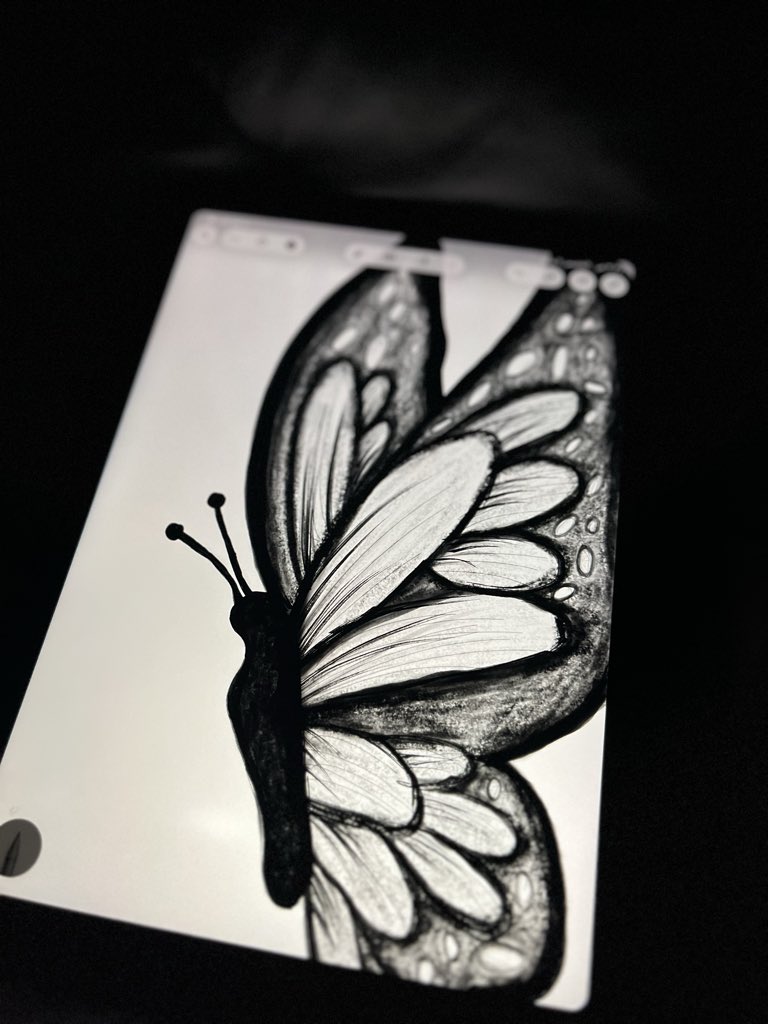Sa_k230's tweet photo. 🦋✨ https://t.co/cUCEqsmLin