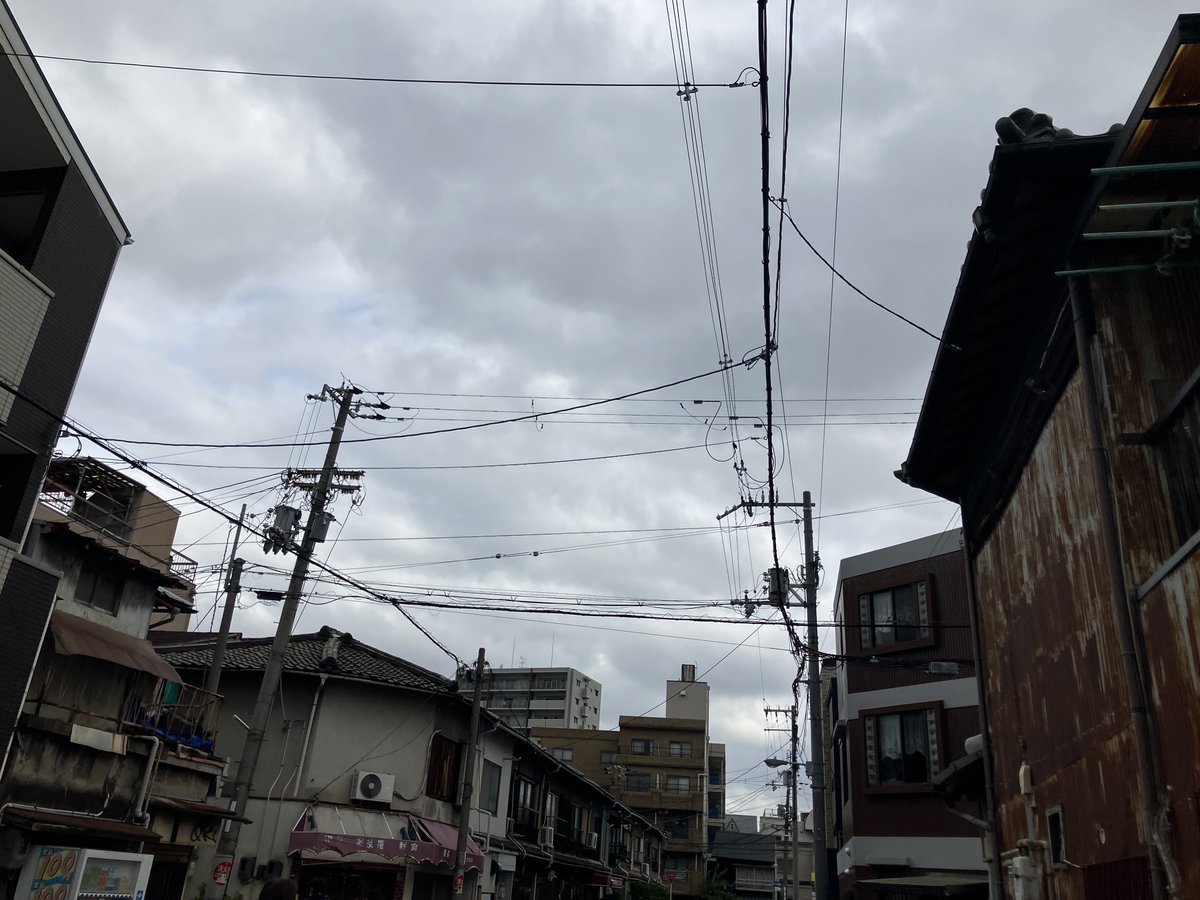 carchandrelease's tweet photo. 大阪市東成区は曇り☁
今日は6/4でム6シ4の日です😁🕷️🪳🦗🐜🐞🪲🐌
虫嫌いの方もそうでない方も「むしキャッチリー」👇で
不法侵入者達をリリースしてあげて下さい！😄

#企業公式が毎朝地元の天気を言い合う #企業公式春のフォロー祭 #企業公式相互フォロー #虫の日 #むしキャッチリー #昆虫 https://t.co/POwNc27cy9