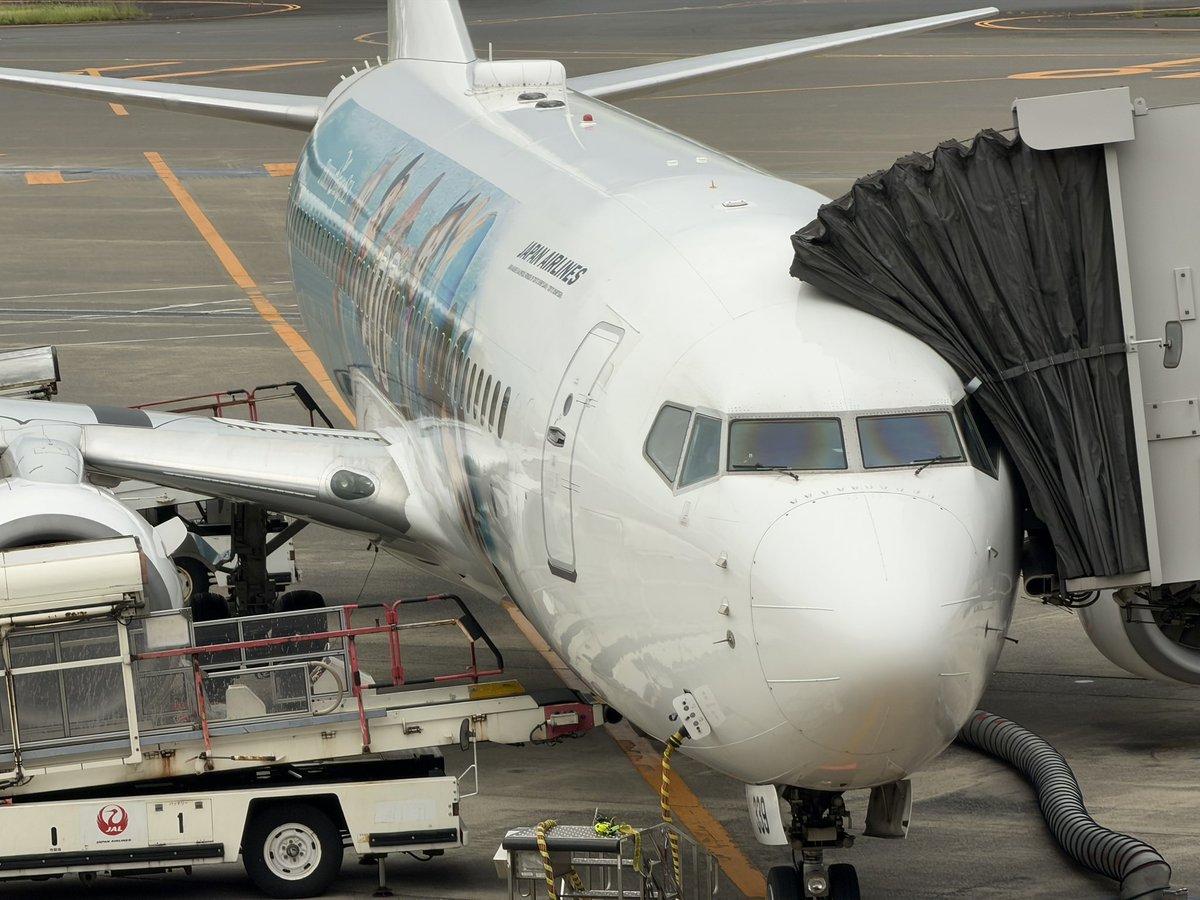 Pro___HT55__GDB's tweet photo. #JAL #ディズニー https://t.co/As7TgqY2T4